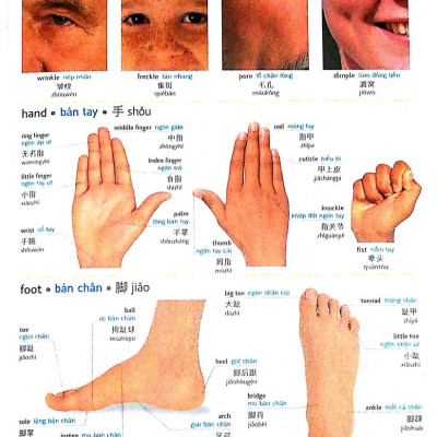 Visual English Vietnamese Chinese Trillingual Dictinonary
