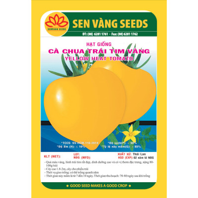 Hạt giống cà chua trái tim vàng VTS56