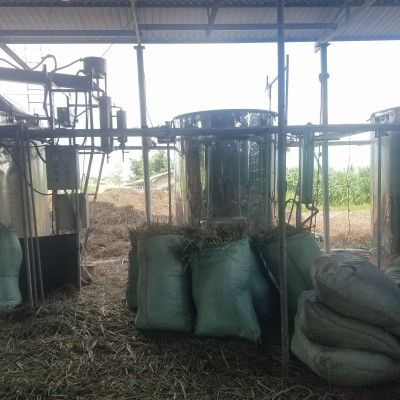 Tinh dầu Ngọc Lan Tây 100ml Mộc Mây - tinh dầu thiên nhiên nguyên chất 100% - chất lượng và mùi hương vượt trội
