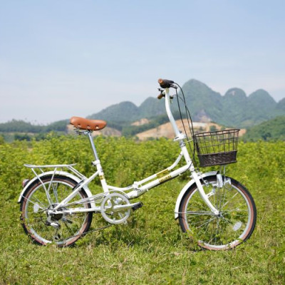 Xe đạp gấp CALLI Q3