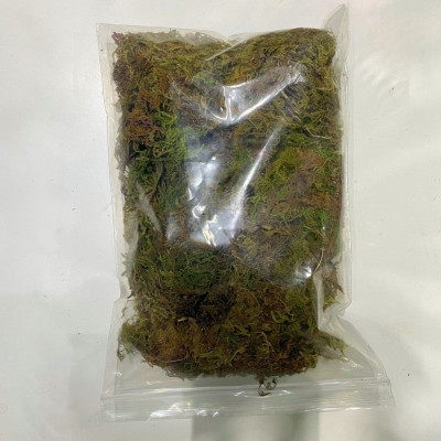 Rêu rải bồn cây - rêu trang trí chậu cây giả (giá 1 bịch)