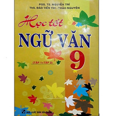 Sách - Học tốt ngữ văn 9 (tập 1+2)