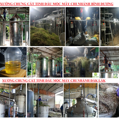 Tinh dầu Quế 100ml nguyên chất từ thiên nhiên - Mộc Mây