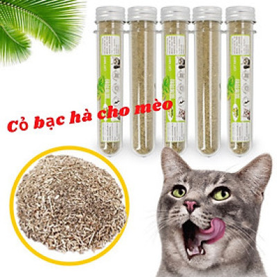 CỎ MÈO CATNIP XẢ STRESS DÀNH CHO MÈO AN TOÀN