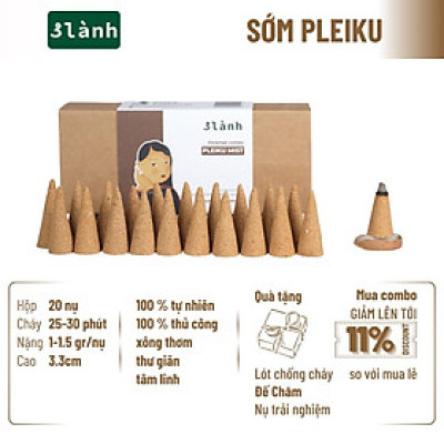 Nụ Thủ Công Sớm Pleiku 3 Lành Hộp 20 Nụ 100 % Tự Nhiên Tặng Kèm Đế Chăm, Không Hóa Chất, Xông Thơm
