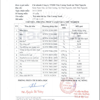 Combo 10 hộp trà túi lọc ướp hoa nhài Tân Cương Xanh (20 gói x 2 gram)