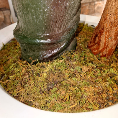 Rêu rải bồn cây - rêu trang trí chậu cây giả (giá 1 bịch)