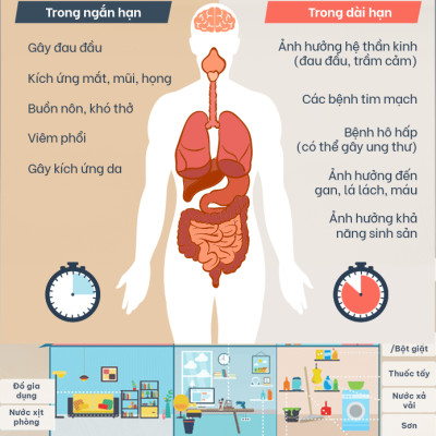 Lọc Khử mùi phòng khách/Nhà Bếp/Phòng Em Bé - Terracomb Nhật Bản - Japan Air Filter