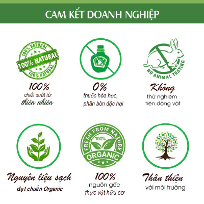 Tinh dầu gỗ Thông đen nguyên chất tự nhiên, xông phòng, khử mùi, thơm phòng, đuổi muỗi - KingOil