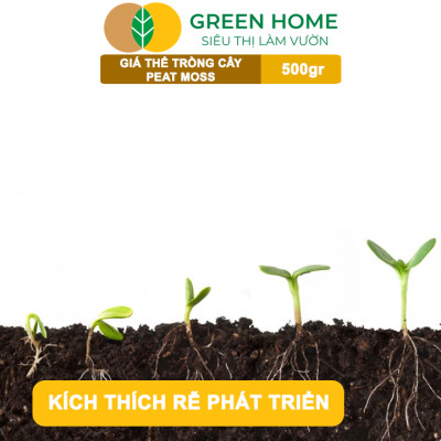 Rêu Than Bùn Peatmoss Greenhome, Bao 500gr, Giá Thể, Cân Bằng Ẩm, Trộn Đất Trồng Sen Đá, Kiểng Lá, Hoa Hồng, Ươm Hạt Giống