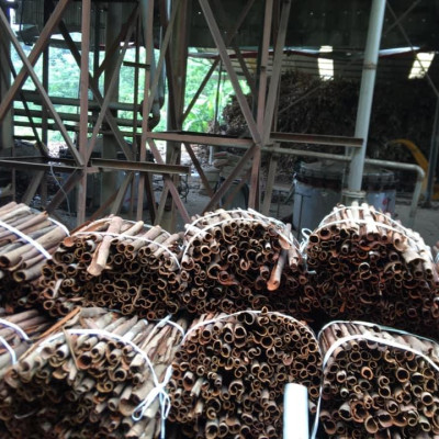 Tinh dầu vỏ Quế nguyên chất từ thiên nhiên - Mộc Mây