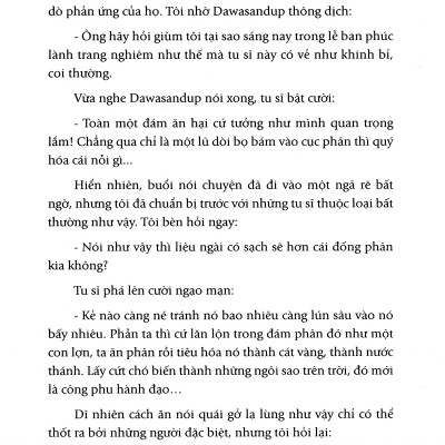 Huyền Thuật Và Các Đạo Sĩ Tây Tạng - Hành Trình 12 Năm Khám Phá Đất Phật Huyền Bí - Bìa mềm - Tác Giả Nguyên Phong - First News
