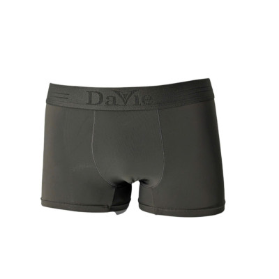 Quần Lót Nam Boxer Davie Dvtl032 Bản Lưng 3,5cm Co Giãn 4 Chiều