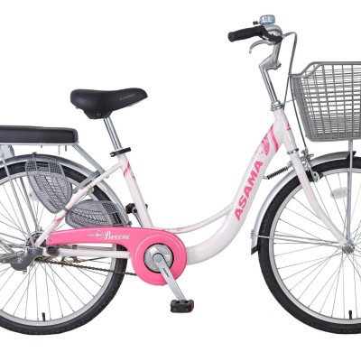 Xe đạp thời trang Asama CLD-BR 2402