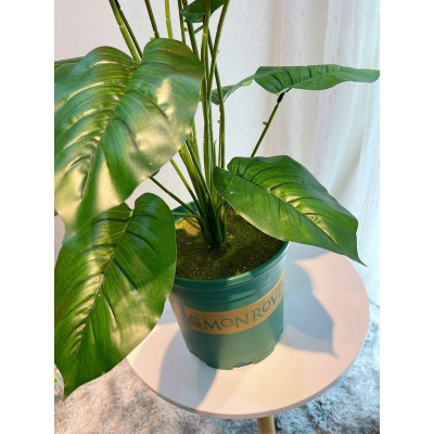 Châu nhựa Monrovia - cao 20cm - đường kính 20cm - Cây giả, hoa lụa Decor trang trí nhà cửa