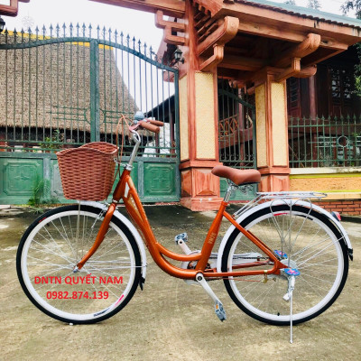 Xe đạp mini bánh 26 Vicky
VM26