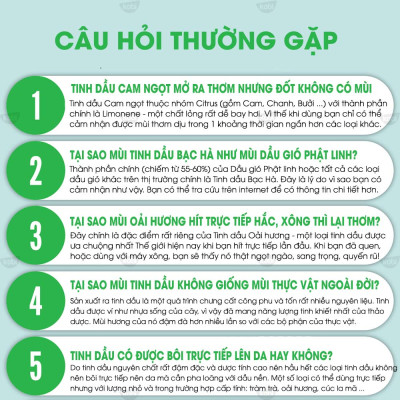 Tinh Dầu Ngọc Lan Tây Kobi (30ml) Treo Xe Hơi, Treo Phòng, Tủ Quần Áo - Tinh Dầu Thiên Nhiên Nguyên Chất, Giúp Giảm Stress, Xua Đuổi Côn Trùng Và Khử Mùi Hiệu Quả, Thích Hợp Dùng Với Đèn Xông Và Máy Khuếch Tán - Tặng Kèm Vỏ Lọ Treo Sang Trọng, Tiện Dụng