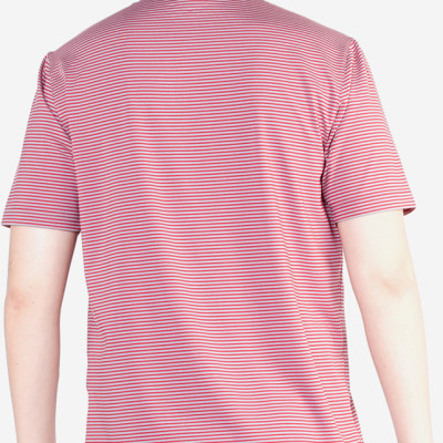 Áo Phông Nam Kẻ Ngang Aligro ALGAPC018