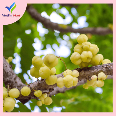 Chùm Ruột Sấy Chanh Muối Viettin Mart 500GR