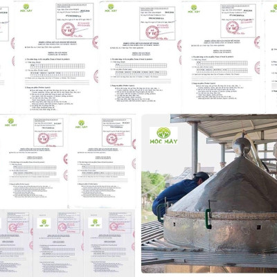 Tinh dầu Bưởi da xanh 100ml Mộc Mây  - tinh dầu nguyên chất 100% từ thiên nhiên