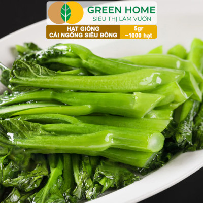 Hạt Giống Cải Ngồng Siêu Bông Huge GreenHome, Gói 5gr~1000 hạt, Dễ Trồng Quanh Năm, Thân Mập R25