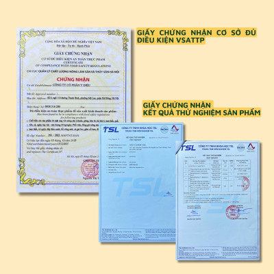 Siro ho kha tử Y Diệu, siro ho thảo dược giảm ho, viêm họng hiệu quả và lành tính